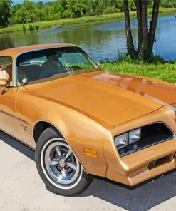 Brown 1977 Firebird Classic Car Paint By Numbers