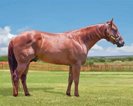brown-Quarter-horse-paint-by-number