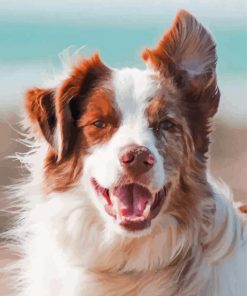 Welsh Sheepdog Brown Paint By Numbers