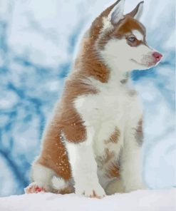 Brown Husky in Snow Paint By Numbers