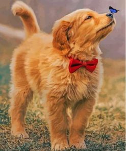 Brown Puppy And Butterfly Paint By Numbers