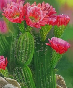 Cactus and Flower Paint By Numbers