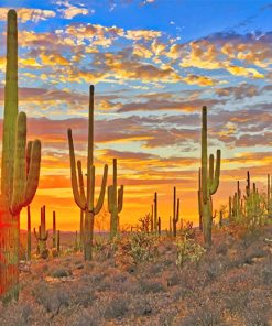 Arizona Desert Cactus Paint By Numbers