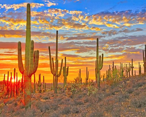 cactus-arizona-desert-adult-paint-by-numbers