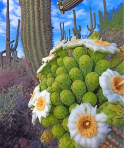 Aesthetic Cactus Plants Paint By Numbers