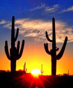 Cactus Sunrise Nature Paint By Numbers