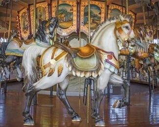 White Carousel Horses Paint By Numbers