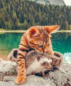Bengal Cat and Hedgehog Friendship Paint By Numbers