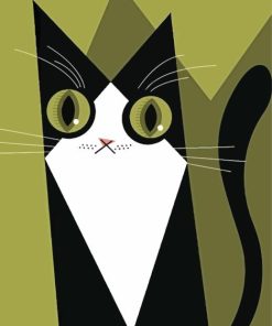 Abstract Cat Animals Paint By Numbers