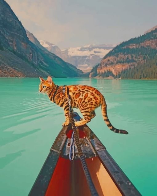 cat-in-Banff-National-Park-paint-by-numbers