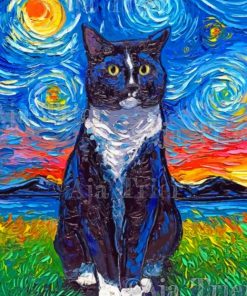 Van Gogh Inspired Starry Cat Paint By Numbers