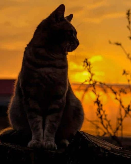 cat-silhouette-paint-by-number