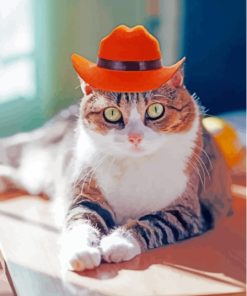 Summer Hat Cat Paint By Numbers