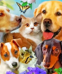 Cats and Labrador Paint By Numbers
