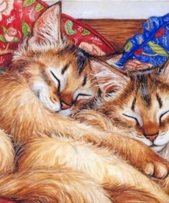 Sleeping Cats Paint By Numbers