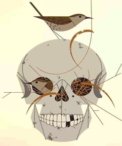 Charley Harper Bird Skull Illustrations Paint By Numbers