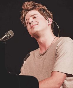 Charlie Puth Stage Painting Paint By Numbers