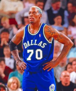 Chicago Bulls Legend Dennis Rodman Paint By Numbers