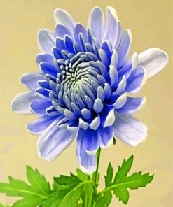 Chrysanthemums Floral Paint By Numbers