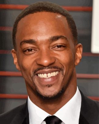 Elegant Anthony Mackie Paint By Numbers