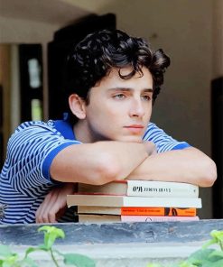 Timothee Chalamet Celebrity Paint By Numbers