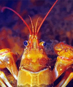 Golden Crayfish Close-Up Paint By Numbers