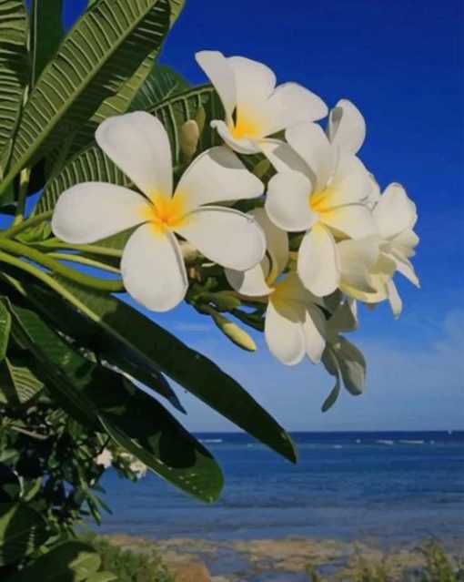 coastal-garden-flowers-in-kenya-paint-by-number