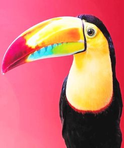 Colorful Toucan Birds Paint By Numbers