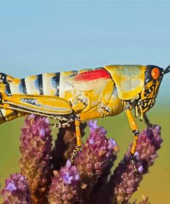 Cool Grasshopper Art Paint By Numbers