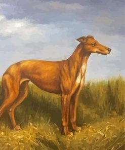 Cool Lurcher Dog Paint By Numbers
