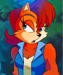 Princess Sally Acorn Sonic Paint By Numbers