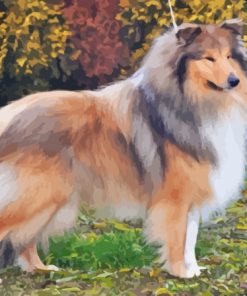 Cool Sable Rough Collie Dog Paint By Numbers