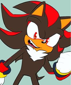 Shadow The Hedgehog Video Game Paint By Numbers