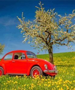 Cool VW Beetle with Cherry Blossom Paint By Numbers