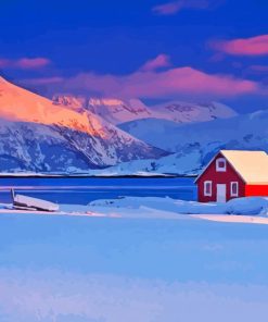 Cool House Snow Scene Paint By Numbers