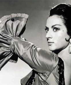 Iconic Lola Flores Paint By Numbers