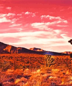 Red Desert Adventure Paint By Numbers