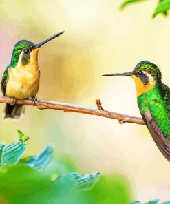 Romantic Hummingbird Duo Paint By Numbers