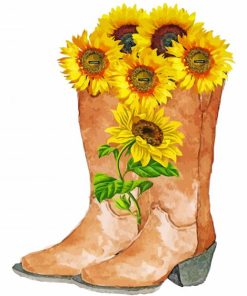 Sunflower Cowboy Boots Paint By Numbers