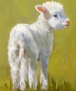 Cute Lamb Animal Paint By Numbers