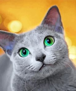 Russian Blue Cat Paint By Numbers
