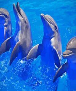Charming Dolphin Animals Paint By Numbers