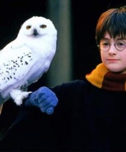Hedwig Wizardry Paint By Numbers