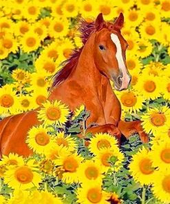 Cute Stallions Among Sunflowers Paint By Numbers
