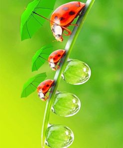 Cute Insect Paint By Numbers