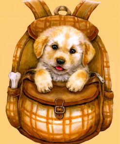 Cute Puppy Paint By Numbers