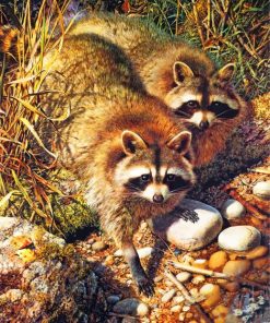 Cute Wild Raccoons Paint By Numbers