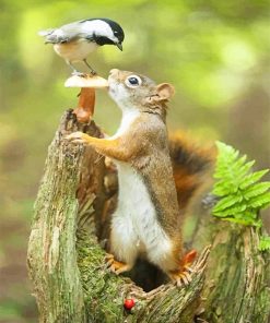 Cute Squirrel Sparrow Paint By Numbers