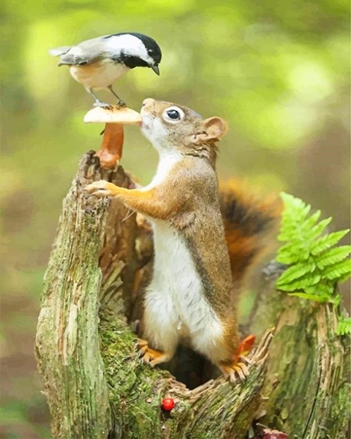 cute-squirrel-and-little-bird-paint-by-numbers