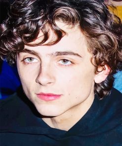 Cute Timothee Chalamet Style Paint By Numbers